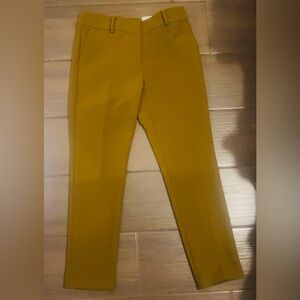 Ann Taylor Factory “The Ankle” Slim Leg Pants – Size 2 (Brand New!)